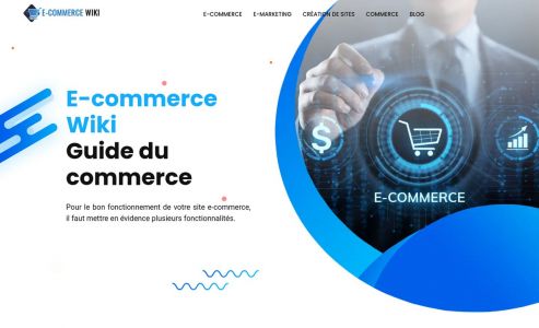 https://www.e-commercewiki.org