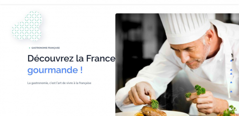 https://www.frenchgastronome.com