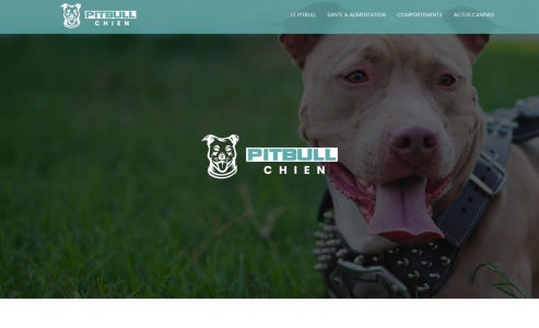 http://www.pitbullchien.com