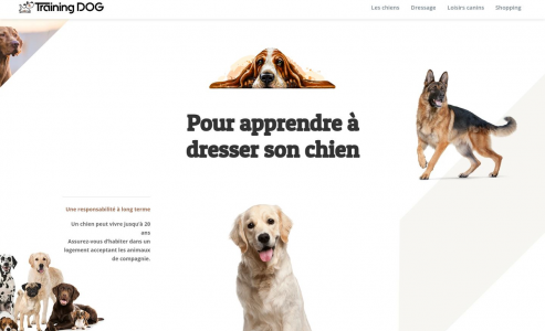 http://www.training-dog.fr