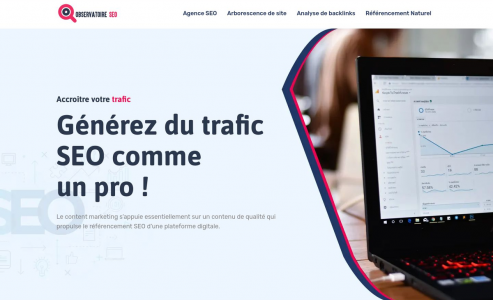 https://www.observatoire-seo.fr