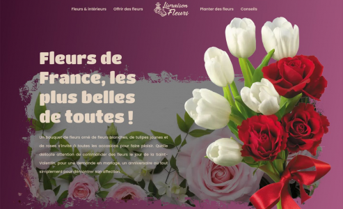 https://www.livraison-fleurs.info