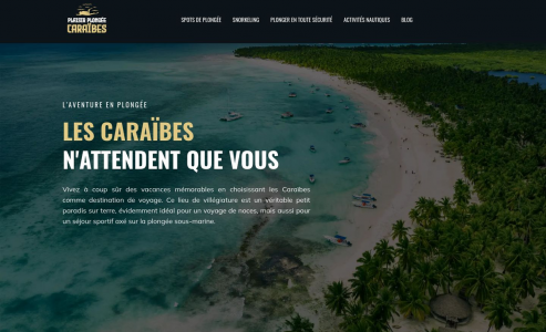 https://www.plaisir-plongee-caraibes.com