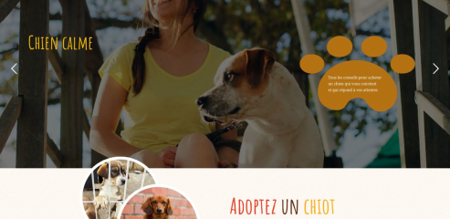 https://www.chiencalme.com