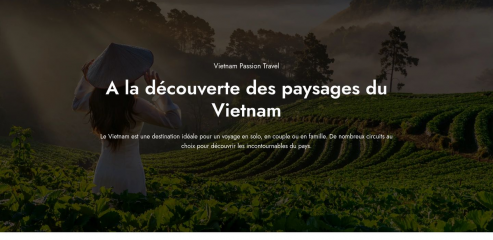 https://www.vietnampassiontravel.com